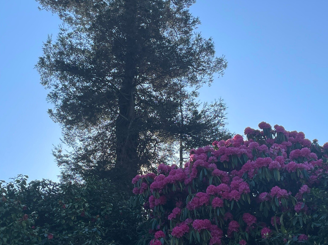 Jardin des Plantes-阿夫朗什必去景点
