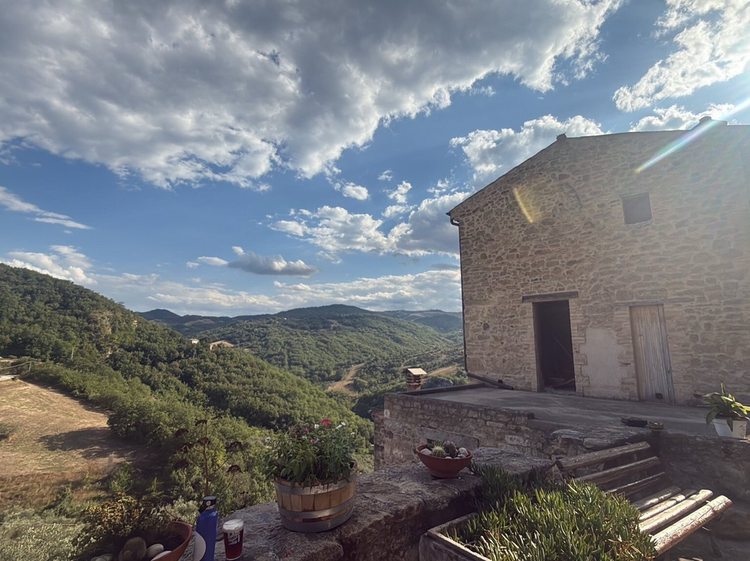 Microbirrificio Delphìn - Tap Room-Roccascalegna必去景点