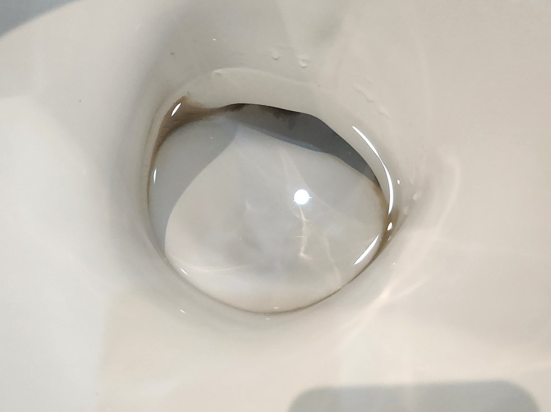 巴利罗宾乡村旅馆主图