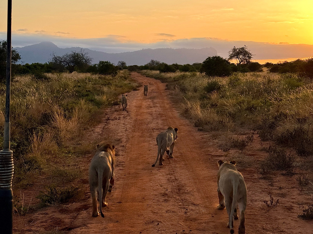 Beppe Watamu-瓦塔木必去景点