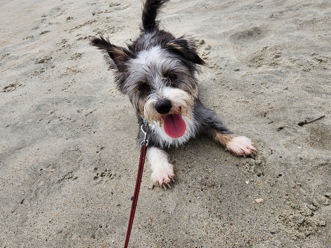 The William & Garland Motel主图