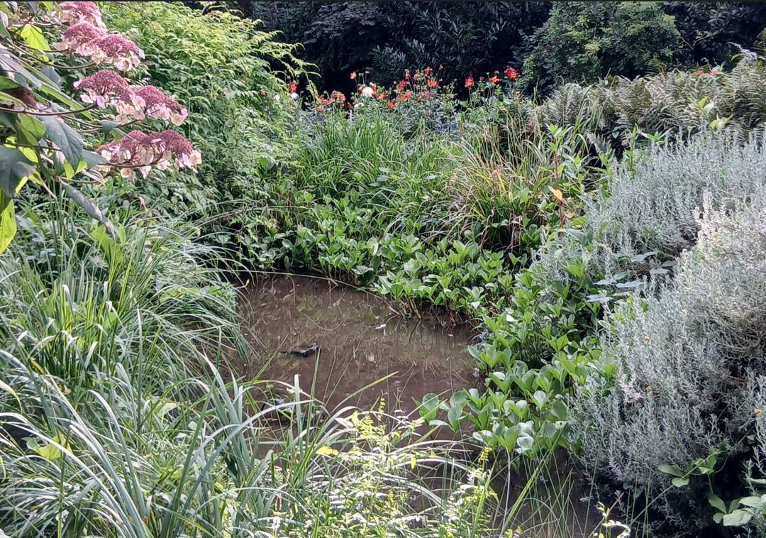 Jardin du Peintre Andre Van Beek-Saint-Paul必去景点