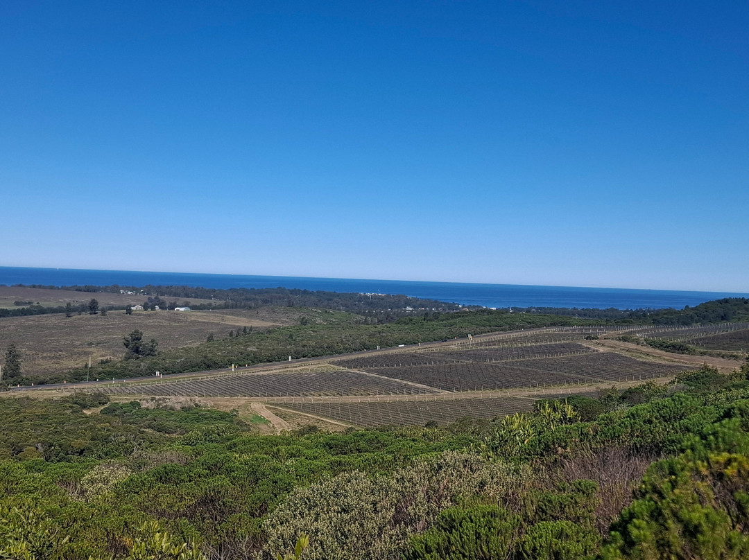 Bodega Cerro del Toro-Piriapolis必去景点