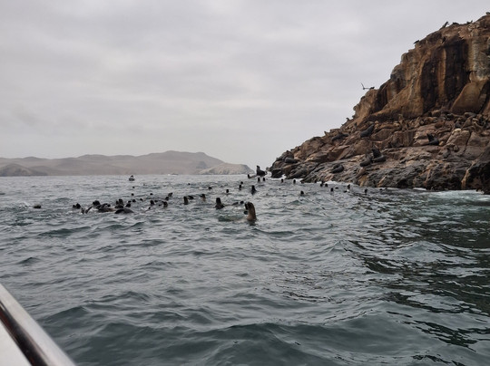 Mar Adentro Excursiones-利马必去景点