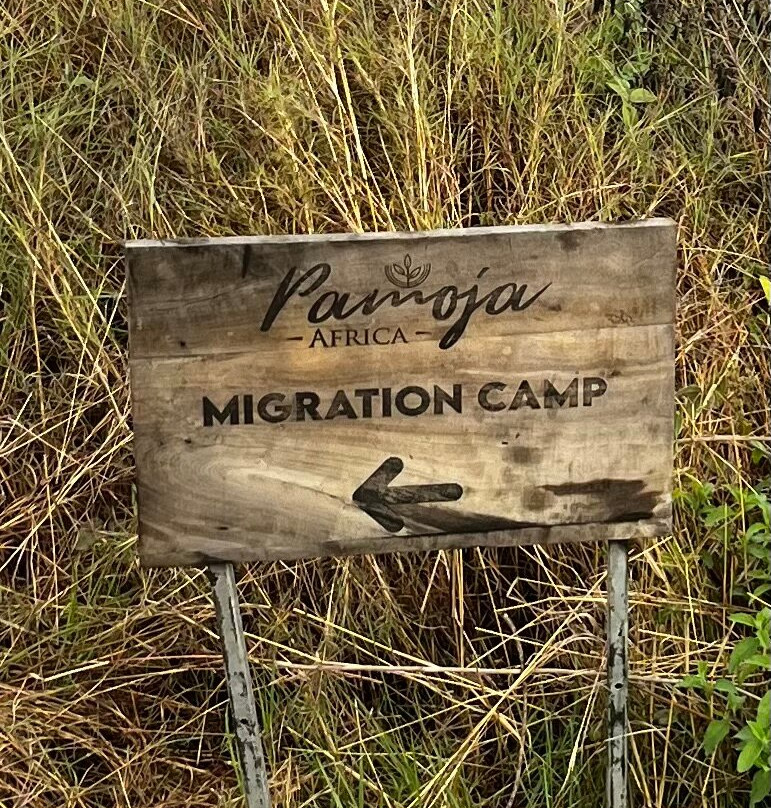 Livingstone's Africa-阿鲁沙必去景点