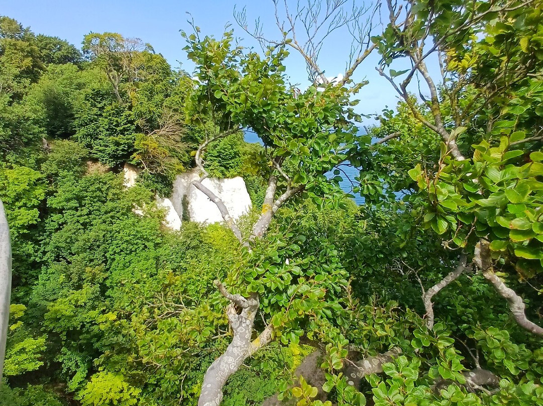 Kreidefelsen-萨斯尼茨必去景点