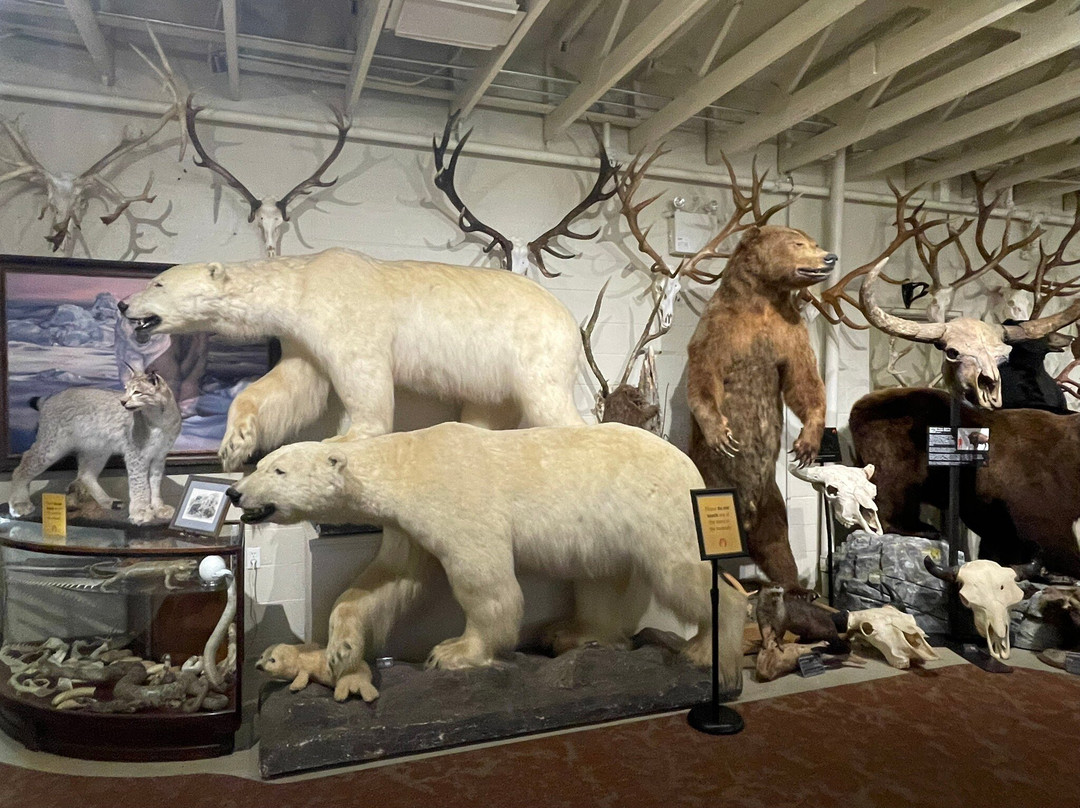 Hand of Man - Museum of Natural History, Cultural Arts & Conservation-邓肯必去景点