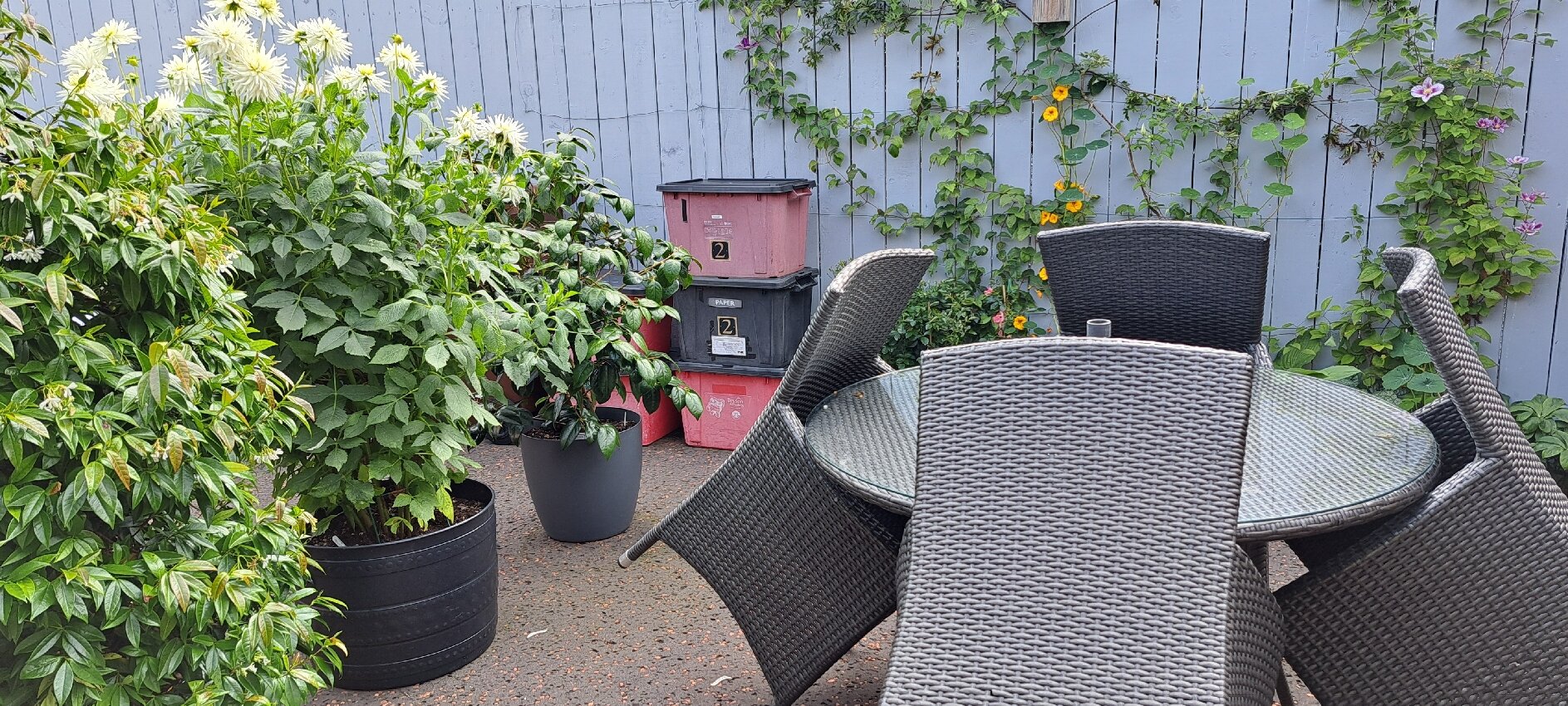 Pinegrove Lodge-官方