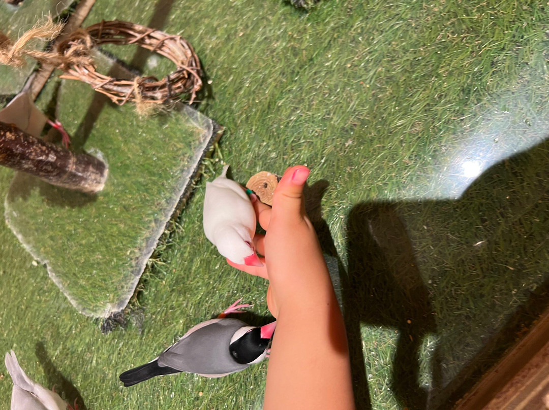 Moff animal cafe ららぽーと堺店