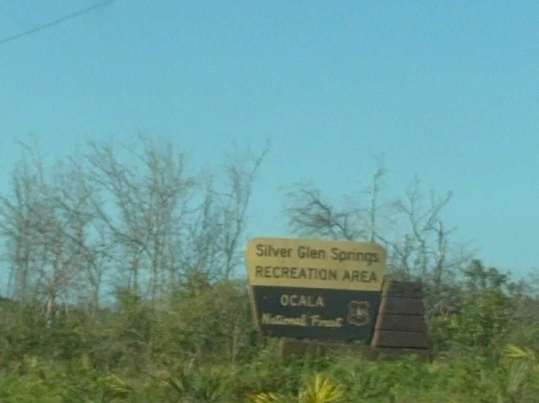 Silver Glen Springs Recreation Area-Salt Springs必去景点