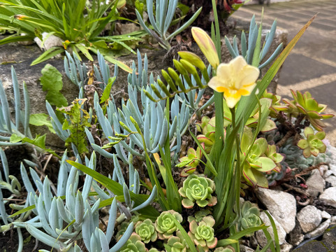 Finca El Imperio-波哥大必去景点