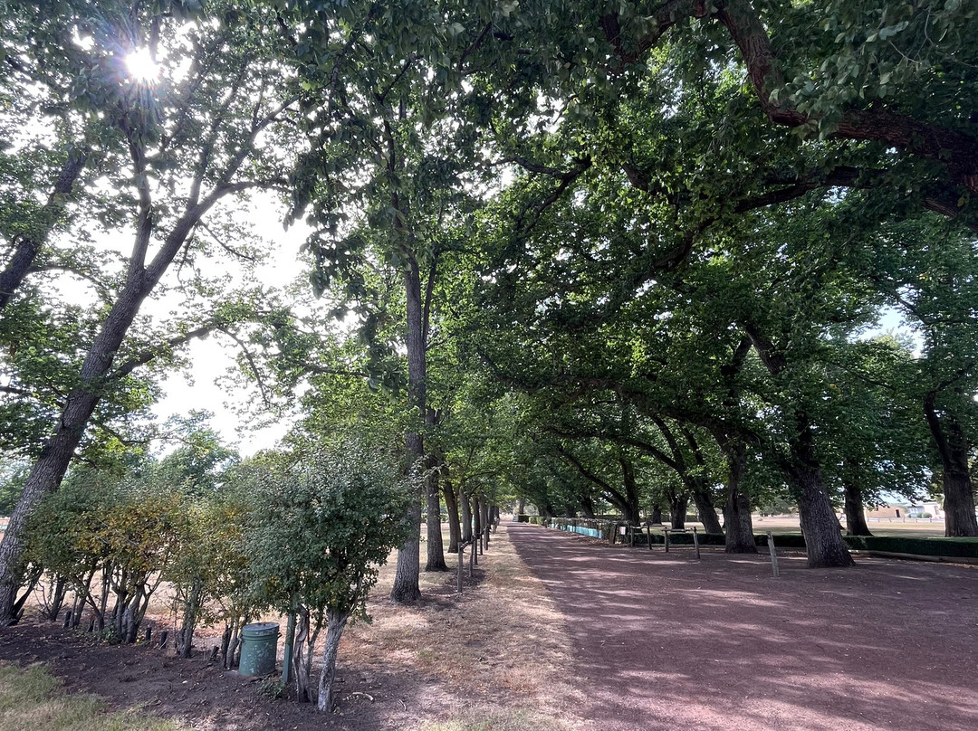 Clarendon Estate-Evandale必去景点