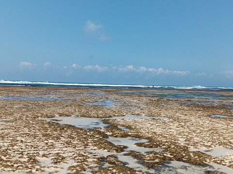 Kizo Safaris-内罗毕必去景点