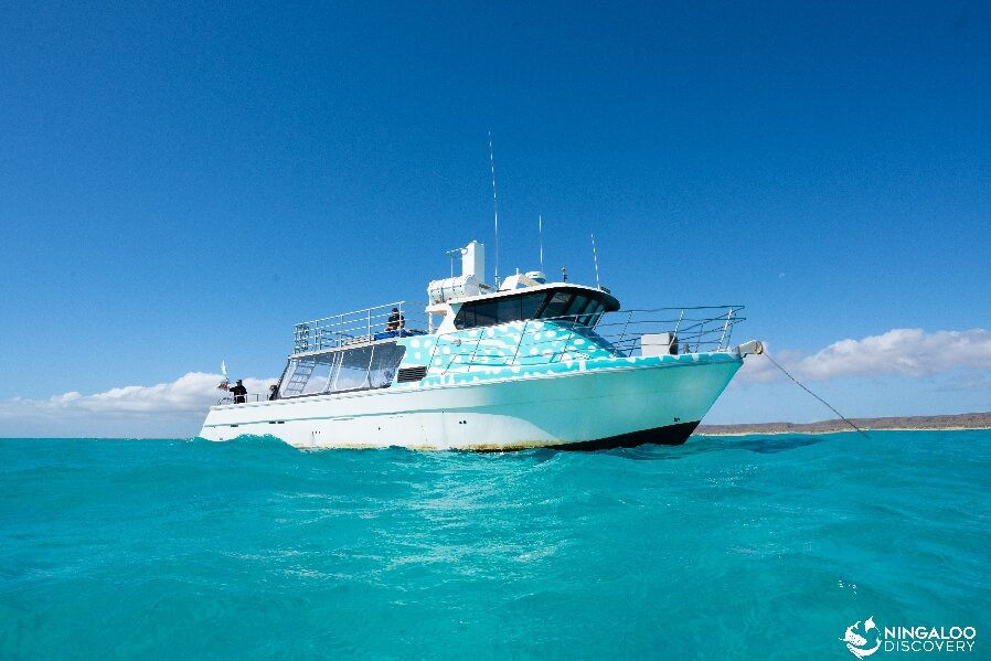 Ningaloo Discovery-埃克斯茅斯必去景点