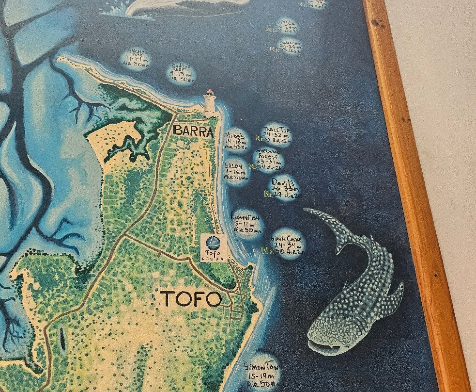 Tofo Scuba-托佛必去景点