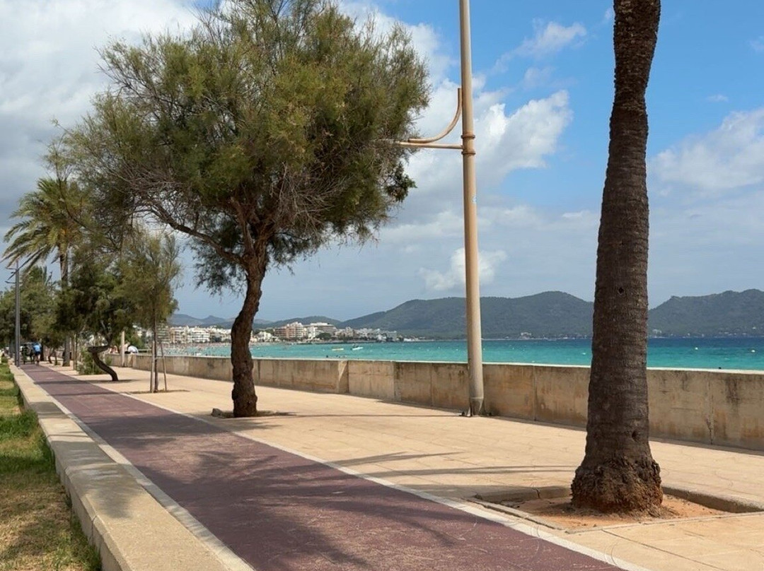 婆罗洲酒店主图