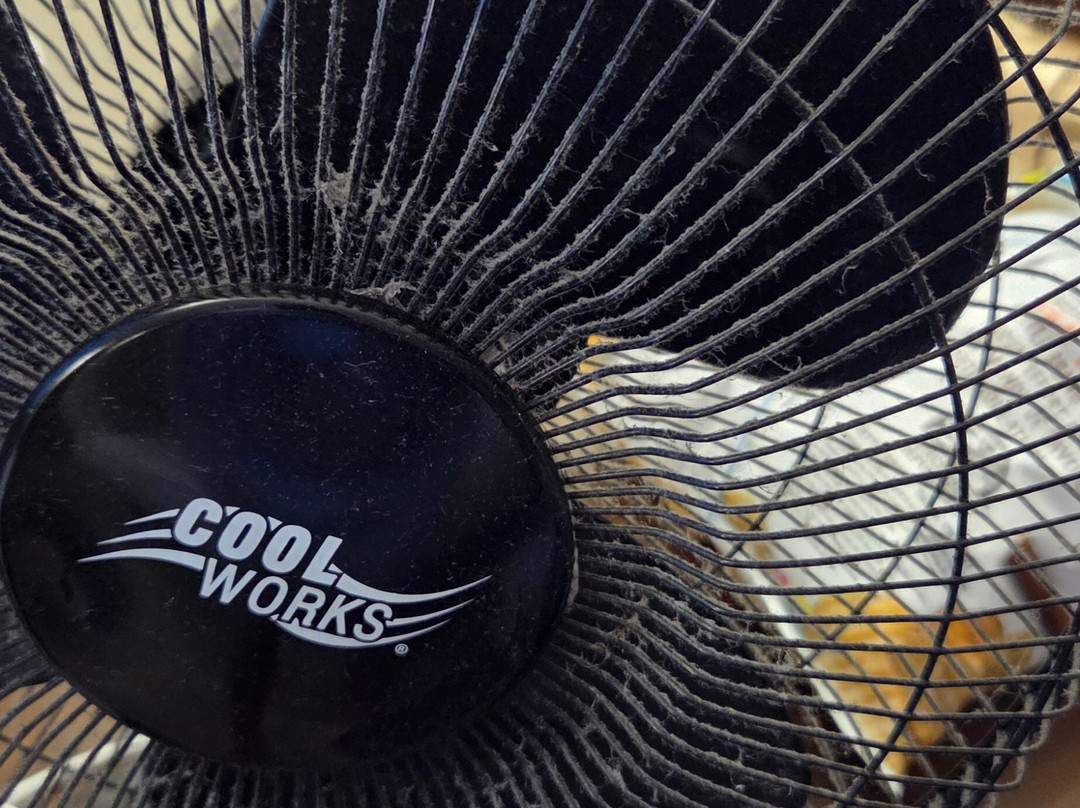 Super 8 by Wyndham Winnipeg West主图