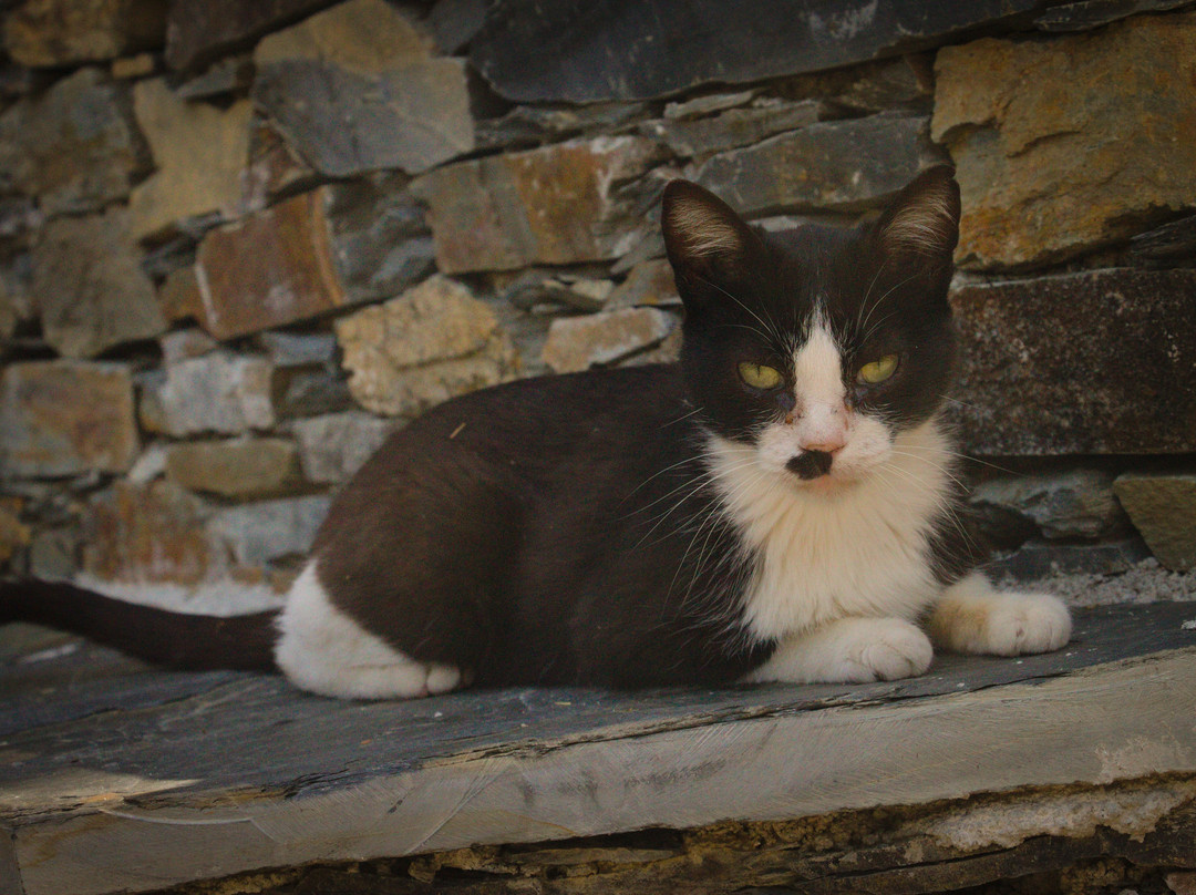 Foz d'Égua-Piodao必去景点