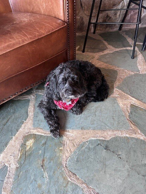 The Barnstead Inn主图