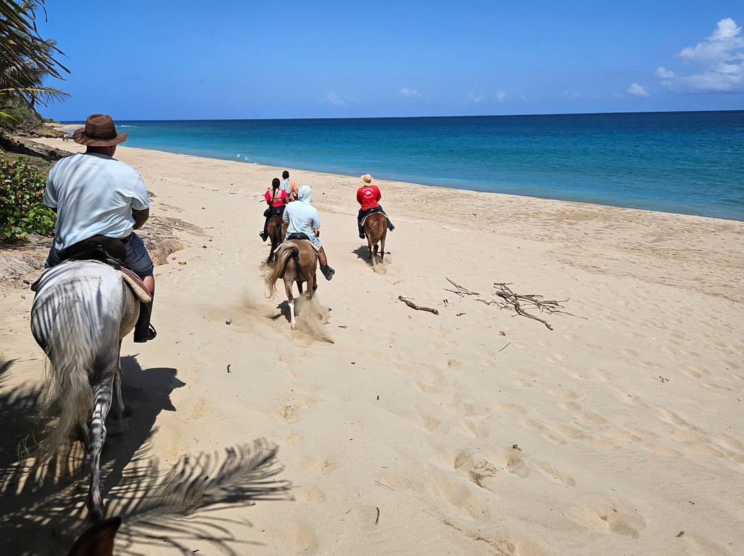 Playuelas Horse Rides-Aguadilla必去景点
