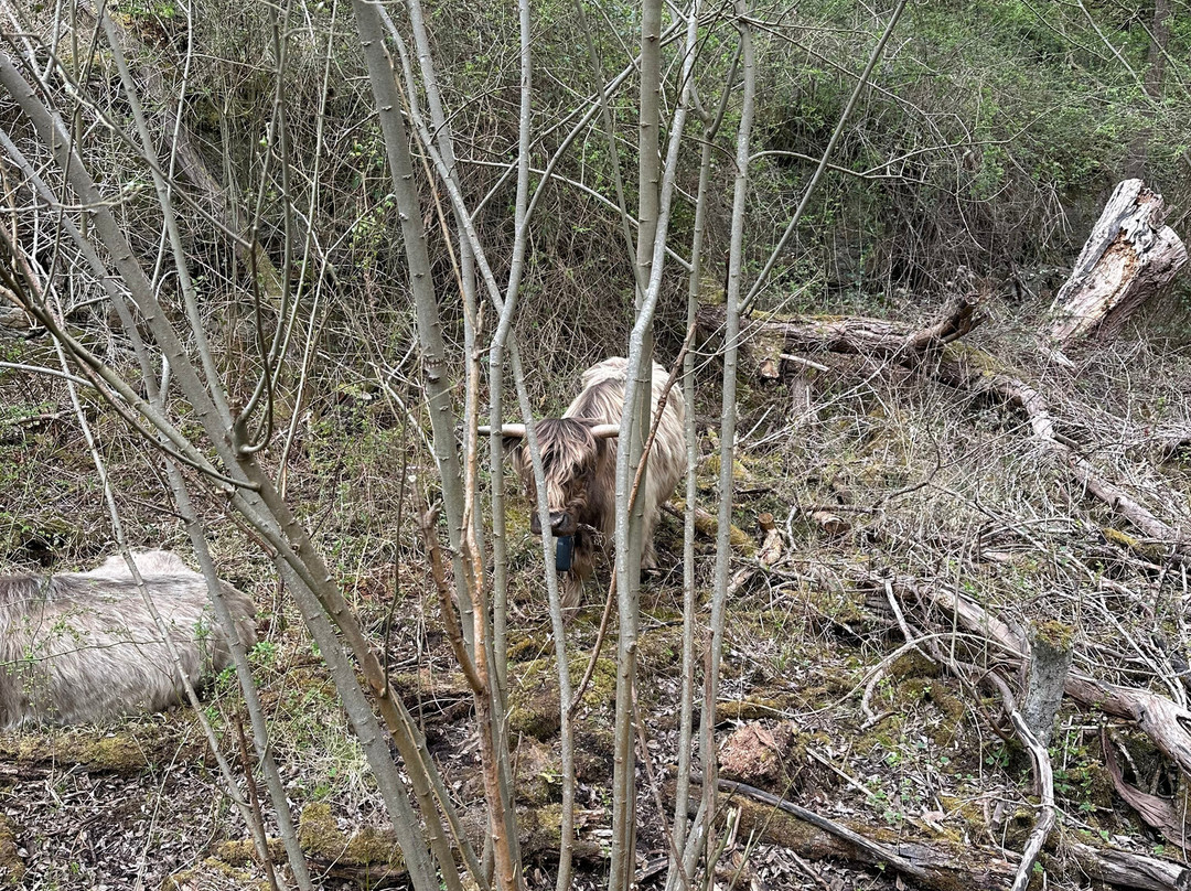 Twywell Hills and Dales-凯特林必去景点