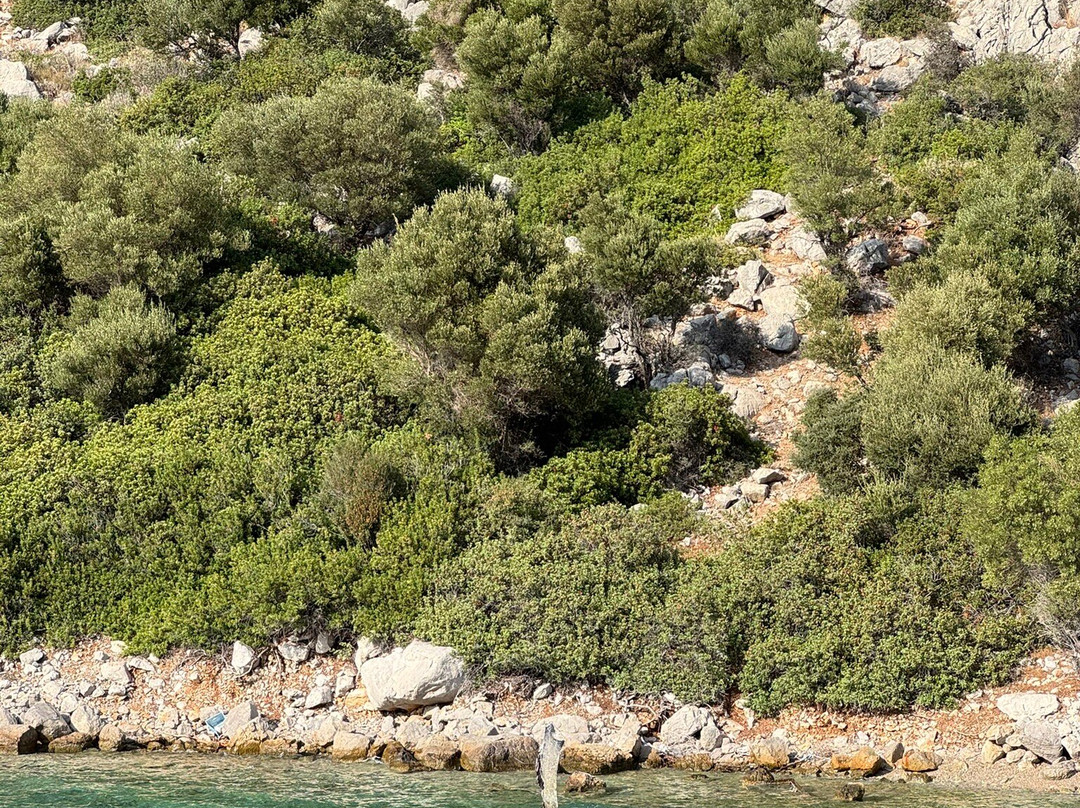 Bozburun yacht charter & broker-Bozburun必去景点