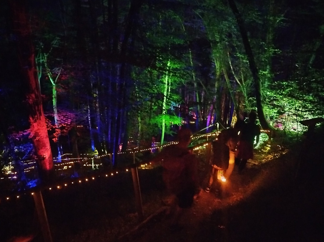 Lumina Milia-Ampezzo必去景点