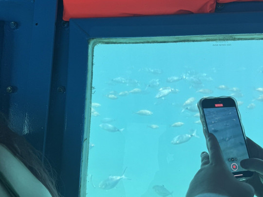 Yellow Submarine-罗德城必去景点