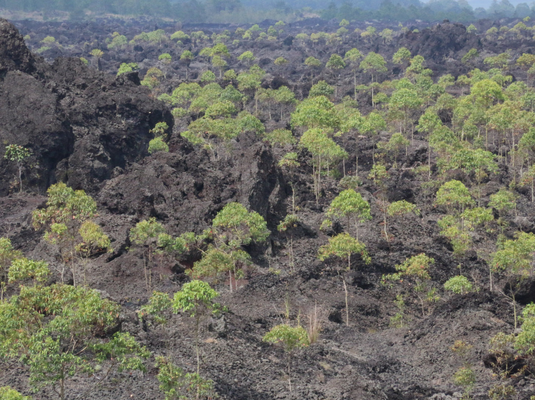 Bali Car Services-库塔必去景点