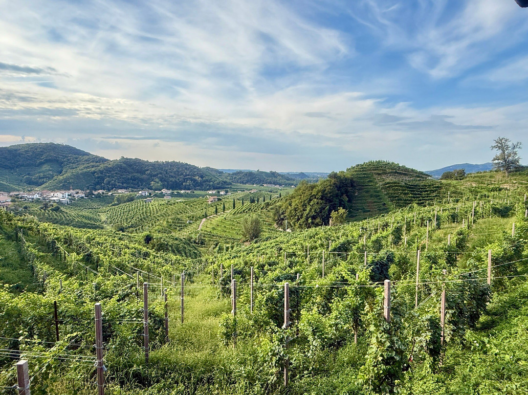 Agriturismo Due Carpini主图