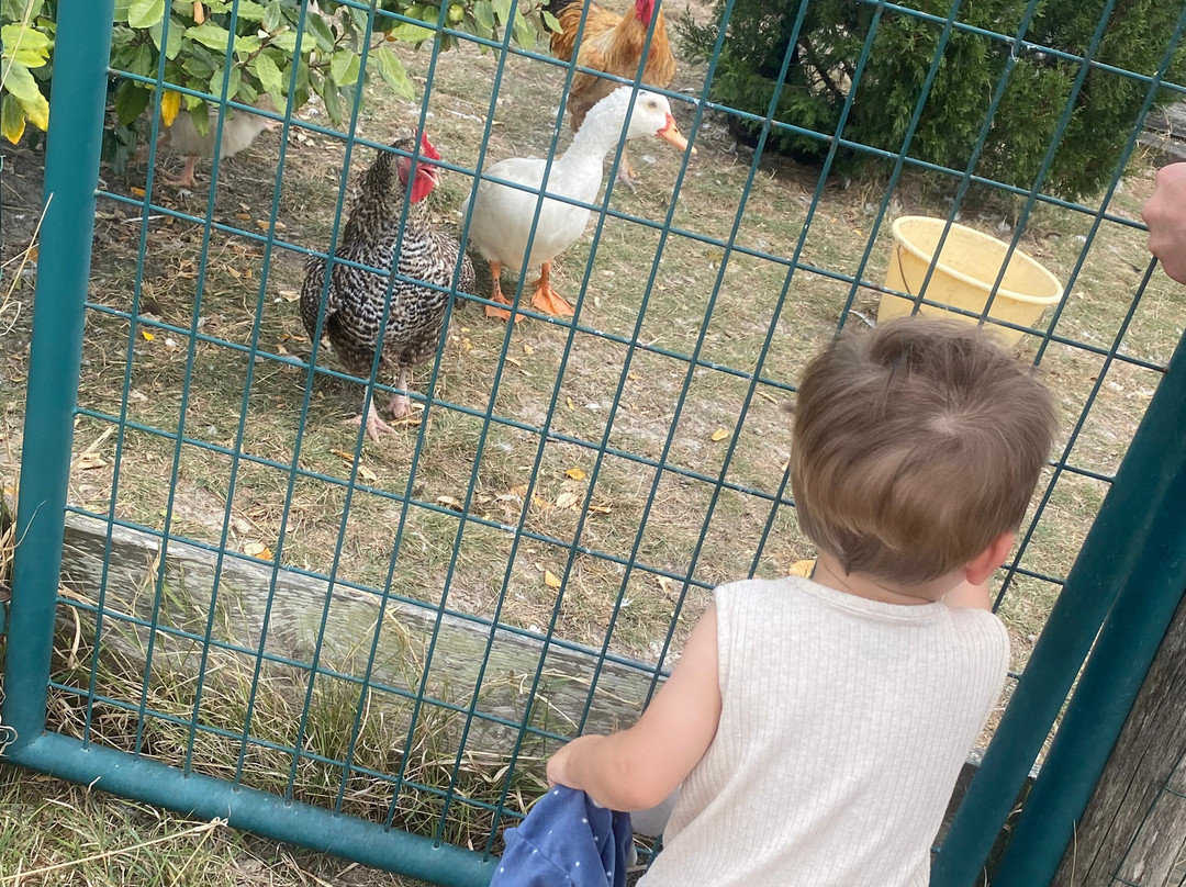 La Maison de l'Âne-Beauvoir-Sur-Mer必去景点