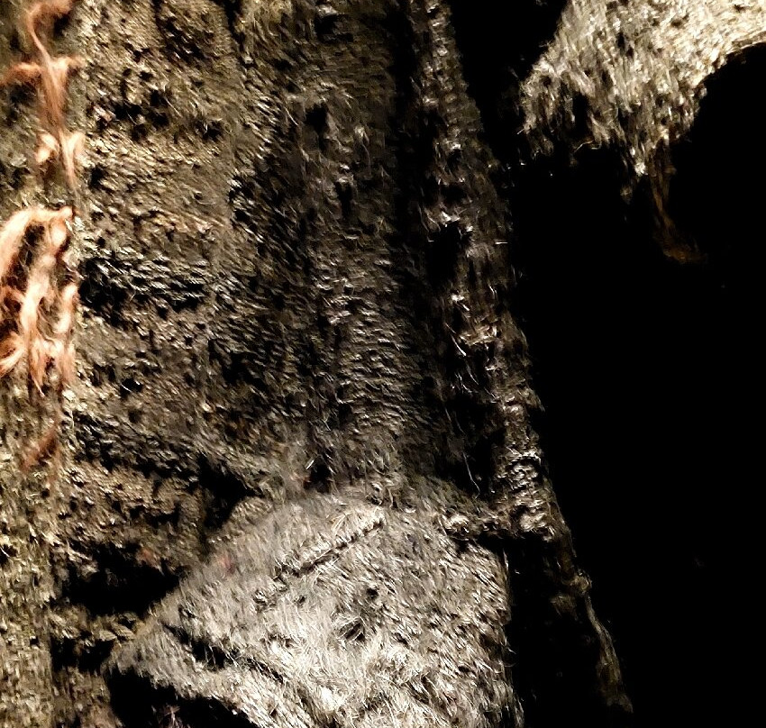 TextielMuseum-蒂尔堡必去景点