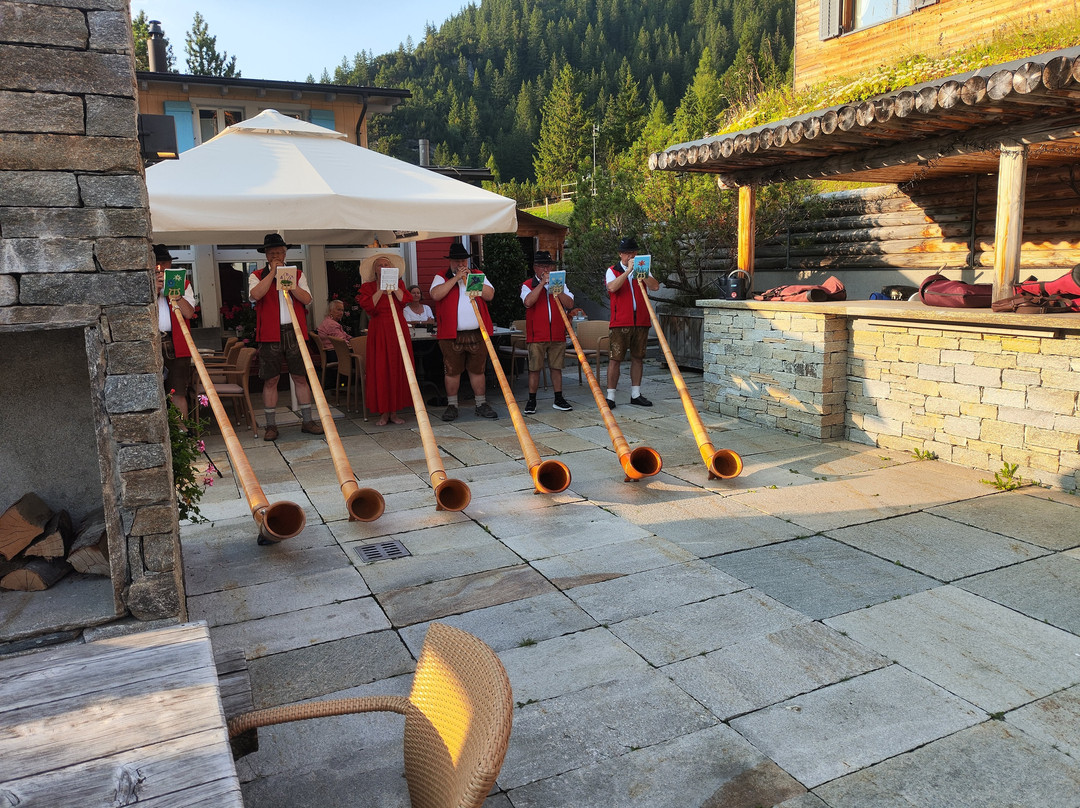 Alpenhotel Malbun主图