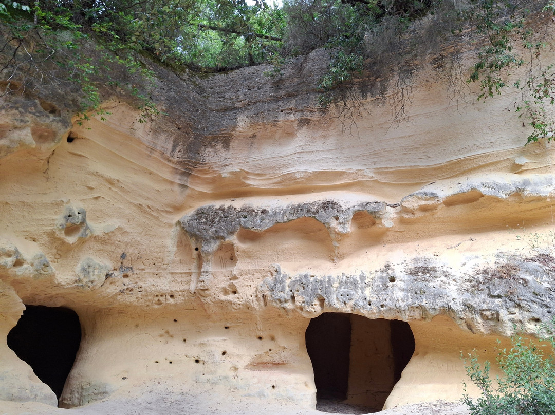 Grotte Gialle-Bibbona必去景点