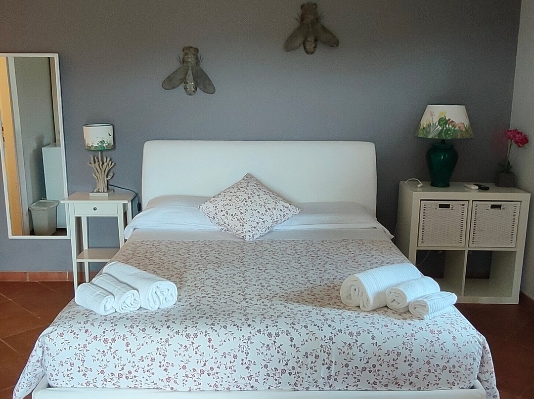 B&B Casa le Agavi主图