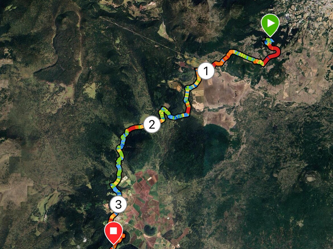 ATVForestal-墨西哥城必去景点