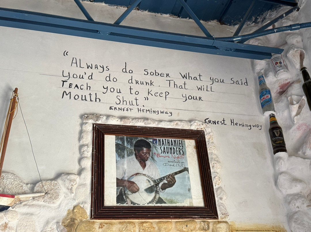 Dolphin House Museum-Alice Town必去景点