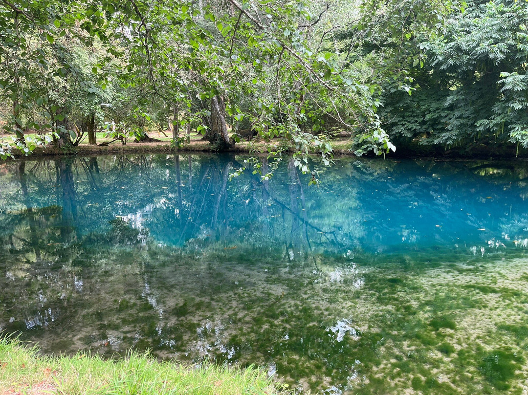 Chateau de Beaulon-Saint-Dizant-du-Gua必去景点