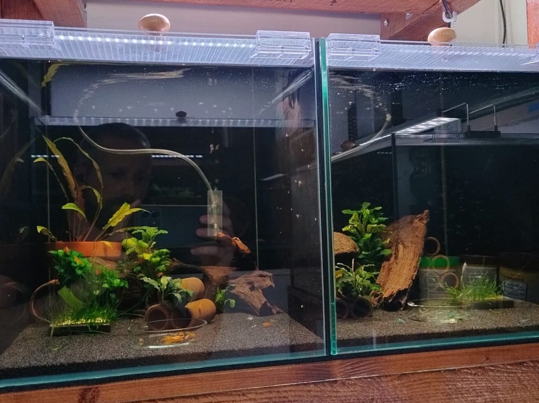 IM Aqua - Aquarium Gallery Tour-苏佩塔尔必去景点