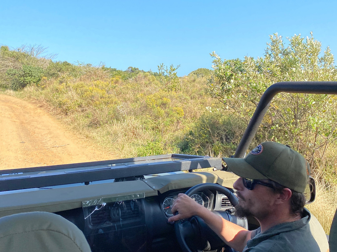 Heritage Tours & Safaris-圣露西亚必去景点