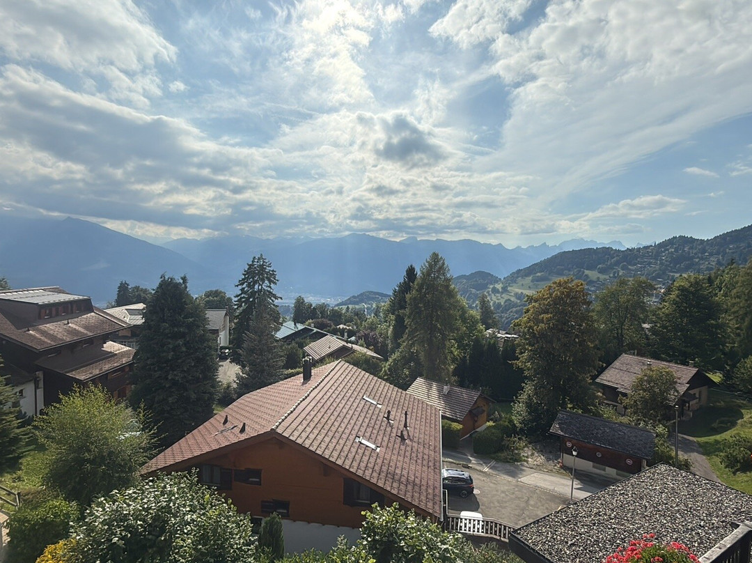 Alpe Fleurie Hotel & Residence主图
