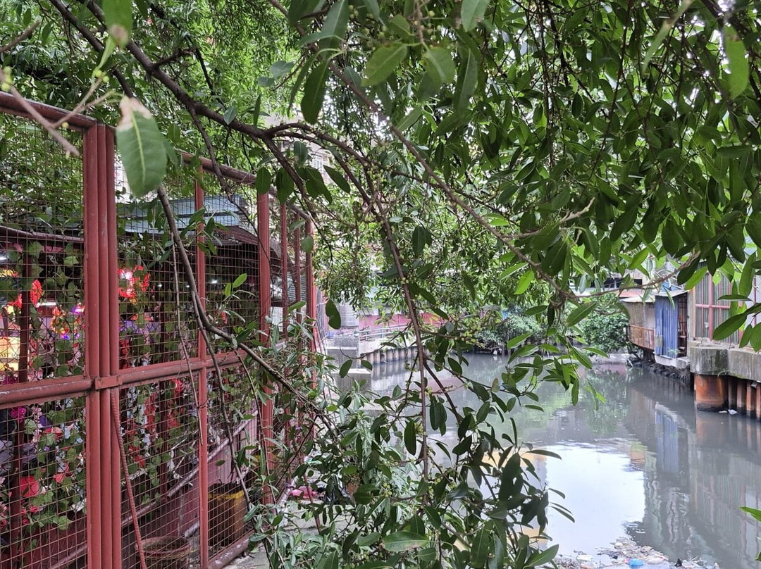 唐人街-马尼拉必去景点