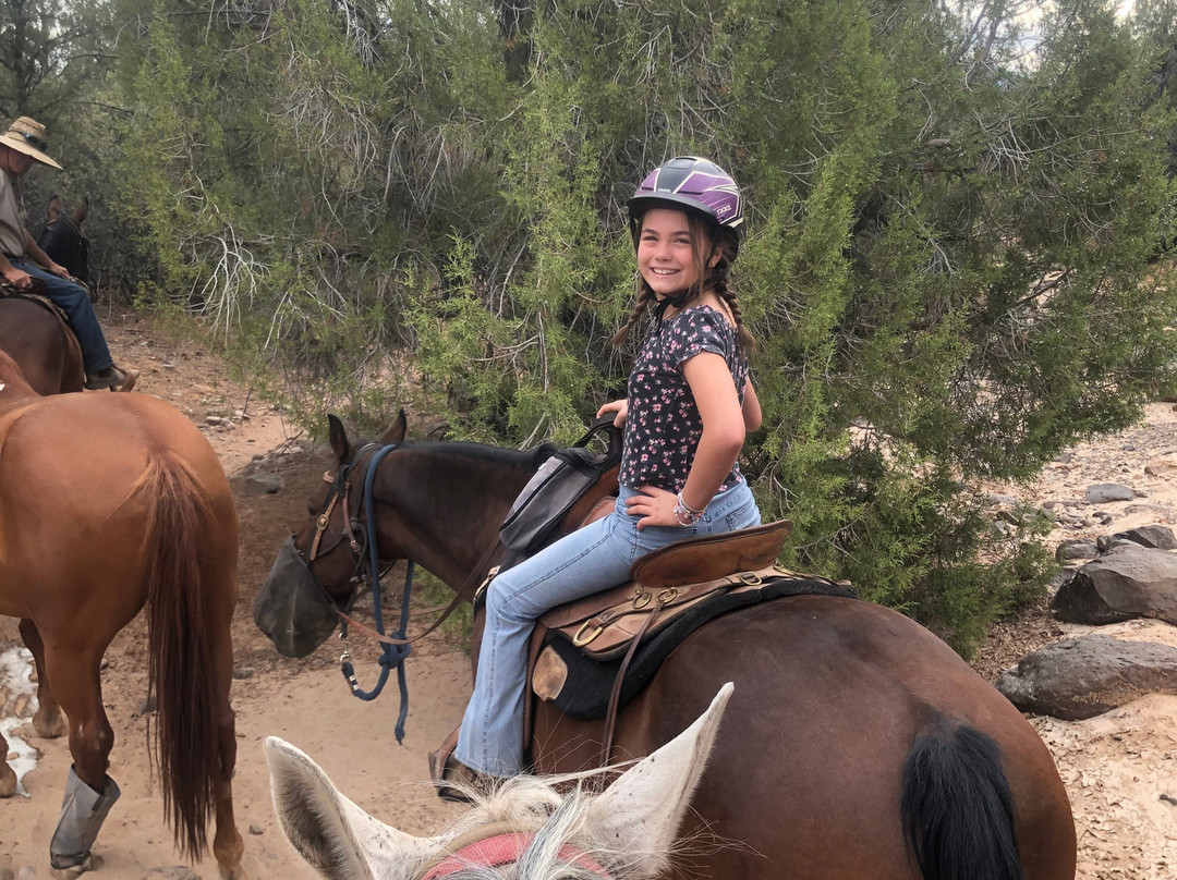 Snow Canyon Trail Rides-圣乔治必去景点