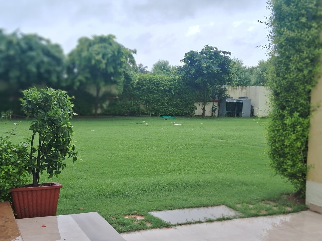 斋浦尔绿党酒店主图