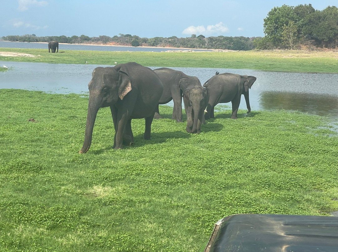 Lush Lanka Tours-Panadura必去景点