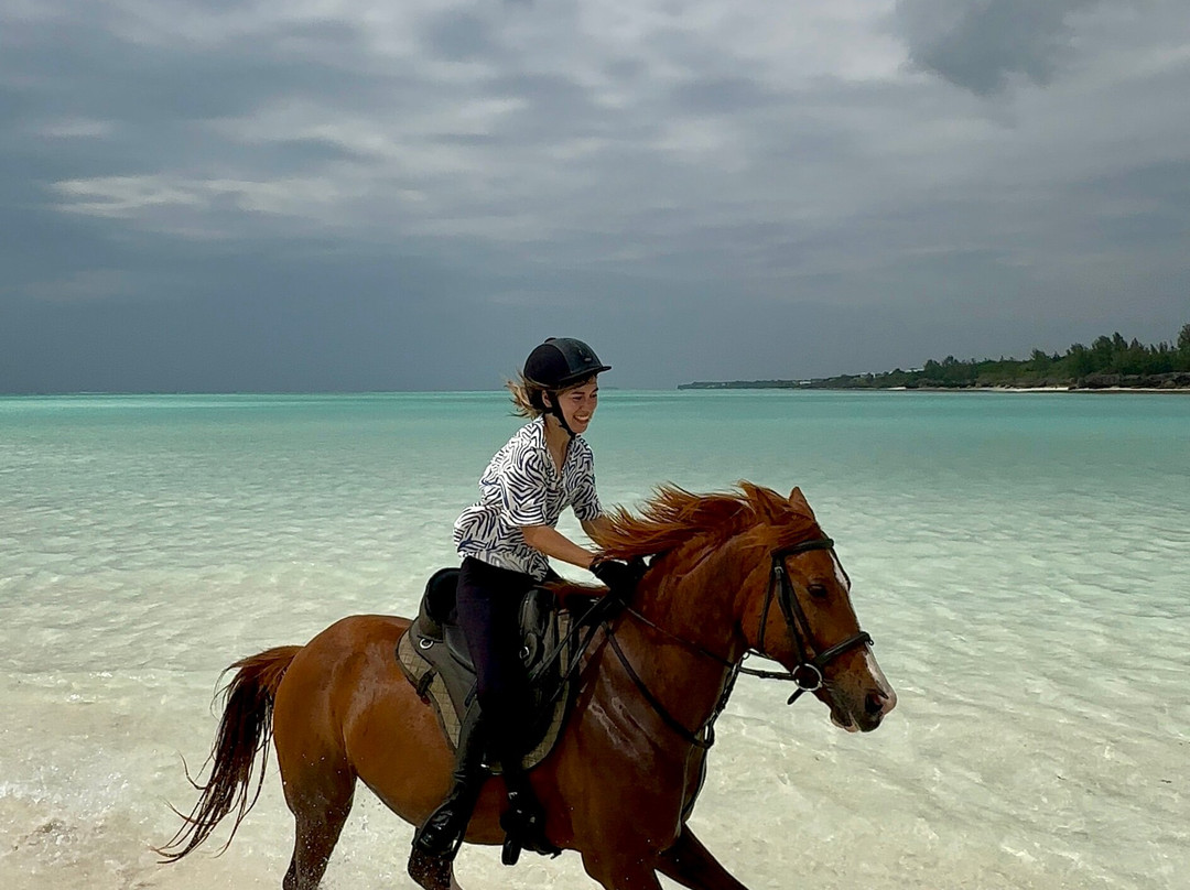 Zanzibar Horse Club-孥归必去景点