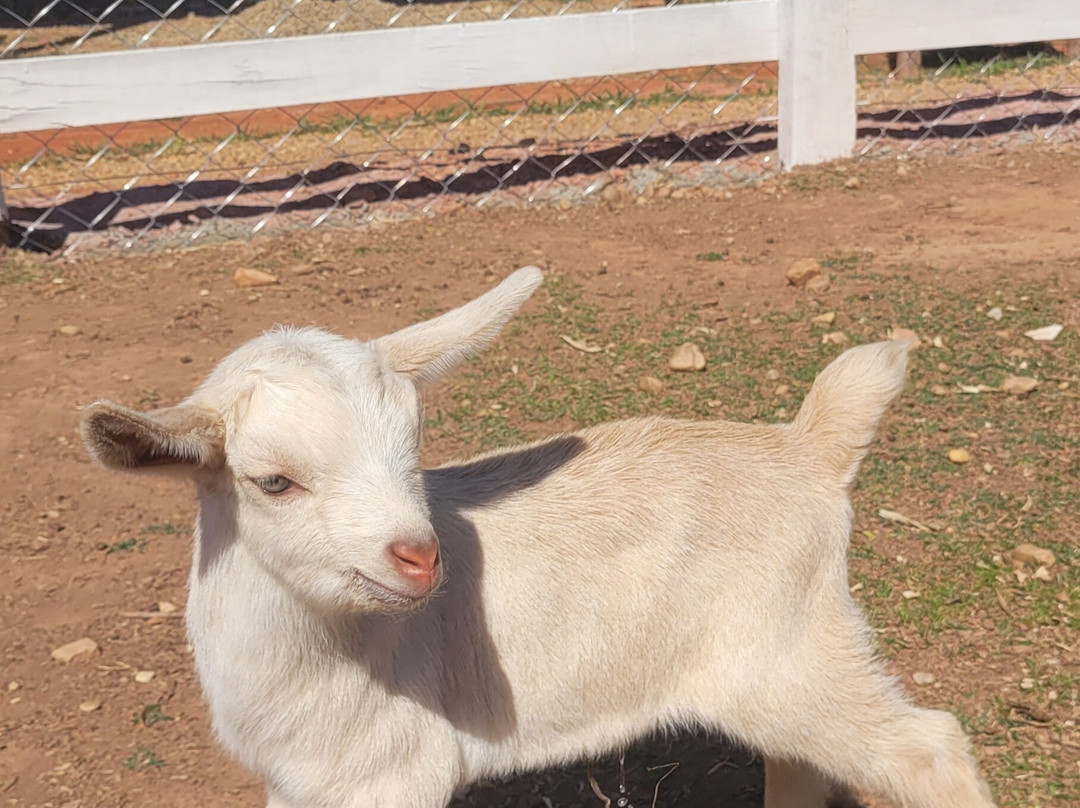 Parque Fazendinha e Praia de Minas-Sao Lourenco必去景点