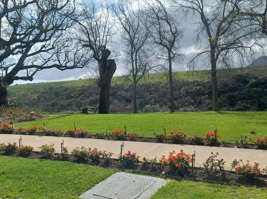 Rust en Vrede Tasting Room-斯泰伦博斯必去景点