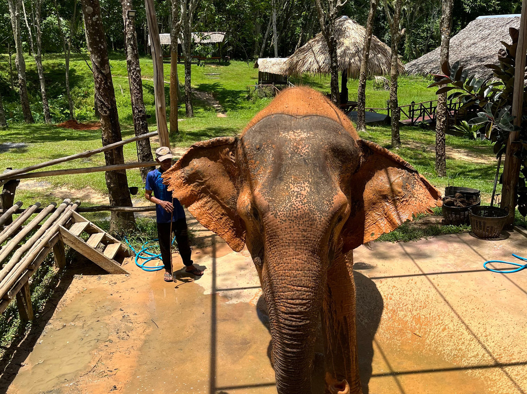 Koh Yao Elephant Care & House-Phru Nai必去景点
