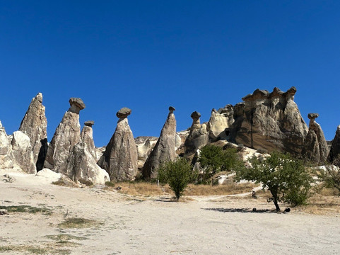 Capacity Travel-乌奇萨必去景点